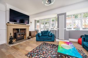 Rear Lounge- click for photo gallery